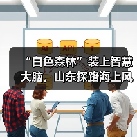 “白色森林”装上智慧大脑，山东探路海上风电运维新模式(图3)