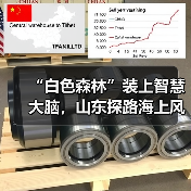 “白色森林”装上智慧大脑，山东探路海上风电运维新模式(图4)