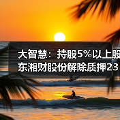 大智慧：持股5%以上股东湘财股份解除质押2300.00万股(图3)