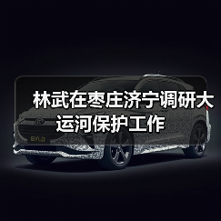 林武在枣庄济宁调研大运河保护工作(图3)