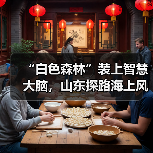 “白色森林”装上智慧大脑，山东探路海上风电运维新模式