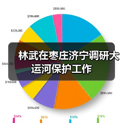 林武在枣庄济宁调研大运河保护工作(图4)