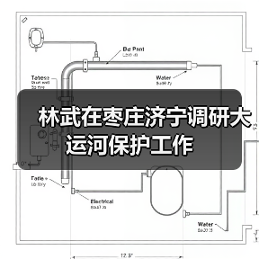 林武在枣庄济宁调研大运河保护工作(图2)