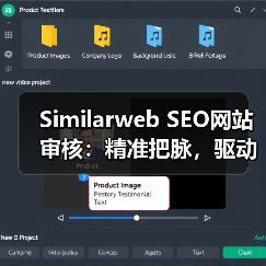 Similarweb SEO网站审核：精准把脉，驱动网站优化新飞跃(图4)