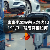 未来电器股东人数达12191户，背后真相如何？(图3)