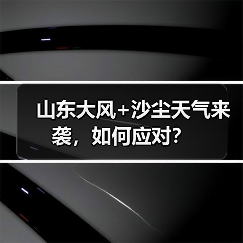 山东大风+沙尘天气来袭,如何应对?(图3) 山东大风+沙尘天气来袭,如何应对?(图3)