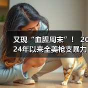 又现“血腥周末”! 2024年以来全美枪支暴力死亡过万(图4) 又现“血腥周末”! 2024年以来全美枪支暴力死亡过万(图4)