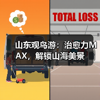 山东观鸟游：治愈力MAX，解锁山海美景(图1)