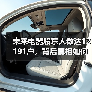 未来电器股东人数达12191户，背后真相如何？(图4)