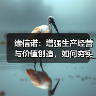 维信诺：增强生产经营与价值创造，如何夯实公司价值传递？(图2)