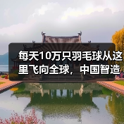 每天10万只羽毛球从这里飞向全球，中国智造如何引领热潮？(图3)