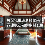 片区化推进乡村振兴:党建联动破解乡村发展困局(图4) 片区化推进乡村振兴:党建联动破解乡村发展困局(图4)