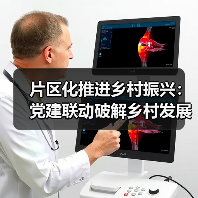 片区化推进乡村振兴:党建联动破解乡村发展困局(图2) 片区化推进乡村振兴:党建联动破解乡村发展困局(图2)