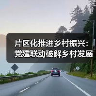 片区化推进乡村振兴：党建联动破解乡村发展困局
