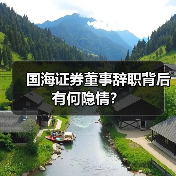 国海证券董事辞职背后有何隐情？(图4)