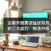 安徽外贸高歌猛进背后的三大动力:制造升级、市场拓展、服务护航(图3) 安徽外贸高歌猛进背后的三大动力:制造升级、市场拓展、服务护航(图3)