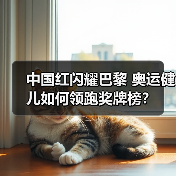 中国红闪耀巴黎 奥运健儿如何领跑奖牌榜？(图4)