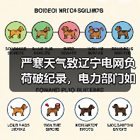 严寒天气致辽宁电网负荷破纪录,电力部门如何精准应对?(图4) 严寒天气致辽宁电网负荷破纪录,电力部门如何精准应对?(图4)