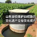 山东版权保护如何助力文化遗产变身文化资产？(图2)