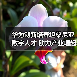 华为创新培养坦桑尼亚数字人才 助力产业崛起(图4)