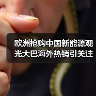 欧洲抢购中国新能源观光大巴海外热销引关注(图4)
