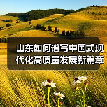 山东如何谱写中国式现代化高质量发展新篇章?(图3) 山东如何谱写中国式现代化高质量发展新篇章?(图3)