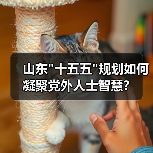 山东 山东十五五规划如何凝聚党外人士智慧?(图2)