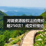 河钢资源股权法拍竞价超250次！成交价接