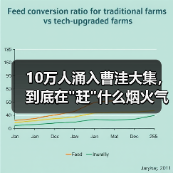 10万人涌入曹洼大集，到底在