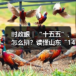 时政眼|“十五五”,怎么拼?读懂山东“14810”(图4) 时政眼|“十五五”,怎么拼?读懂山东“14810”(图4)