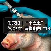 时政眼｜“十五五”，怎么拼？读懂山东“1