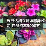 欣旺达成立能源服务公司 注册资本5000万(图1) 欣旺达成立能源服务公司 注册资本5000万(图1)