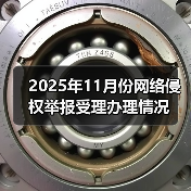 2025年11月份网络侵权举报受理办理情况(图4) 2025年11月份网络侵权举报受理办理情况(图4)
