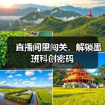 直播间里闯关，解锁墨班科创密码