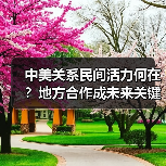 中美关系民间活力何在？地方合作成未来关键(图3)