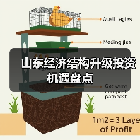 山东经济结构升级投资机遇盘点
