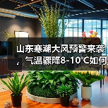 山东寒潮大风预警来袭,气温骤降8-10℃如何应对?(图2) 山东寒潮大风预警来袭,气温骤降8-10℃如何应对?(图2)