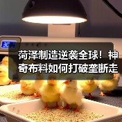 菏泽制造逆袭全球!神奇布料如何打破垄断走向世界(图3) 菏泽制造逆袭全球!神奇布料如何打破垄断走向世界(图3)