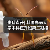 本科直升| 韩国高丽大学本科直升班第二期招生开始(图3)