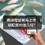 高端母婴黑马上市,长期配置价值几何?(图4) 高端母婴黑马上市,长期配置价值几何?(图4)