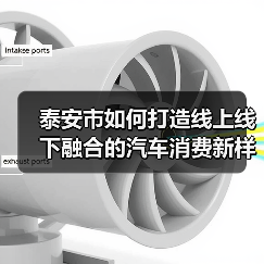 泰安市如何打造线上线下融合的汽车消费新样本？(图2)