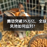 美债突破35万亿，全球风险如何应对？(图4)