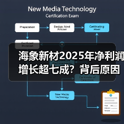 海象新材2025年净利润增长超七成？背后原因曝光(图4)