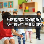 片区抱团发展如何助力乡村振兴？产业协同突围新路径(图3)