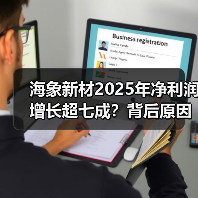 海象新材2025年净利润增长超七成？背后原因曝光(图3)