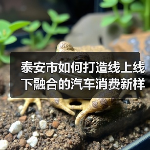 泰安市如何打造线上线下融合的汽车消费新样本？(图3)