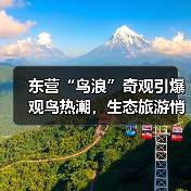 东营“鸟浪”奇观引爆观鸟热潮，生态旅游悄然升温(图2)