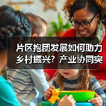 片区抱团发展如何助力乡村振兴？产业协同突围新路径(图2)