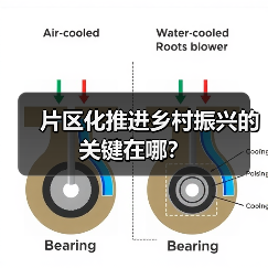 片区化推进乡村振兴的关键在哪?(图4) 片区化推进乡村振兴的关键在哪?(图4)
