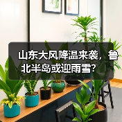 山东大风降温来袭,鲁北半岛或迎雨雪?(图3) 山东大风降温来袭,鲁北半岛或迎雨雪?(图3)